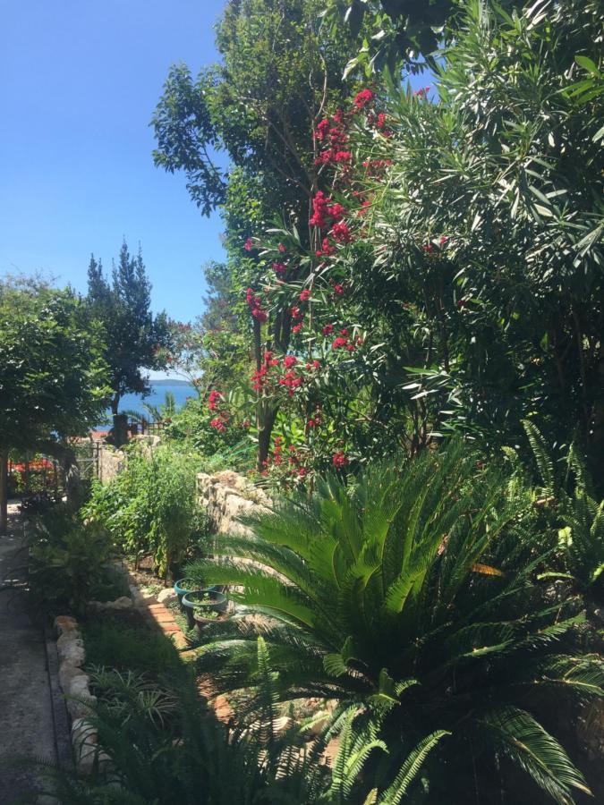 Apartments Milicevic Herceg Novi Exterior foto