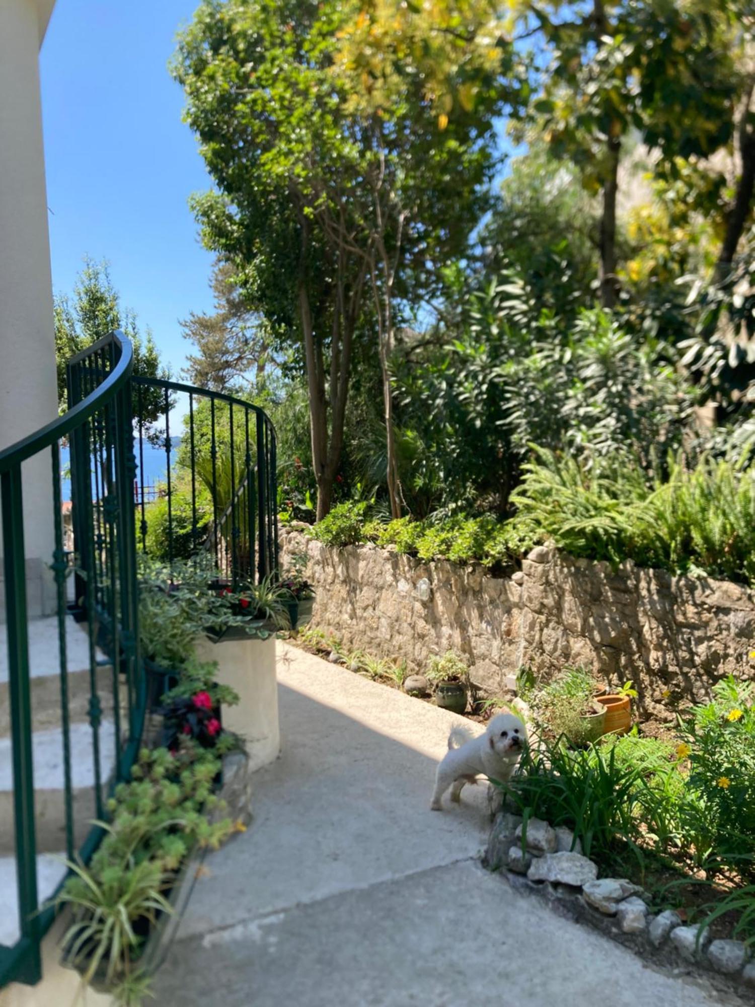 Apartments Milicevic Herceg Novi Exterior foto